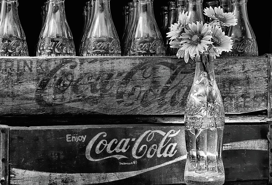 Coke and Gaillardia Still Life Life Black and White Photograph by JC Findley
