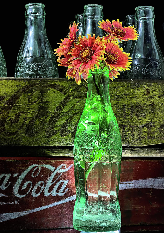 Coke and Indian Blanket Still Life Photograph by JC Findley