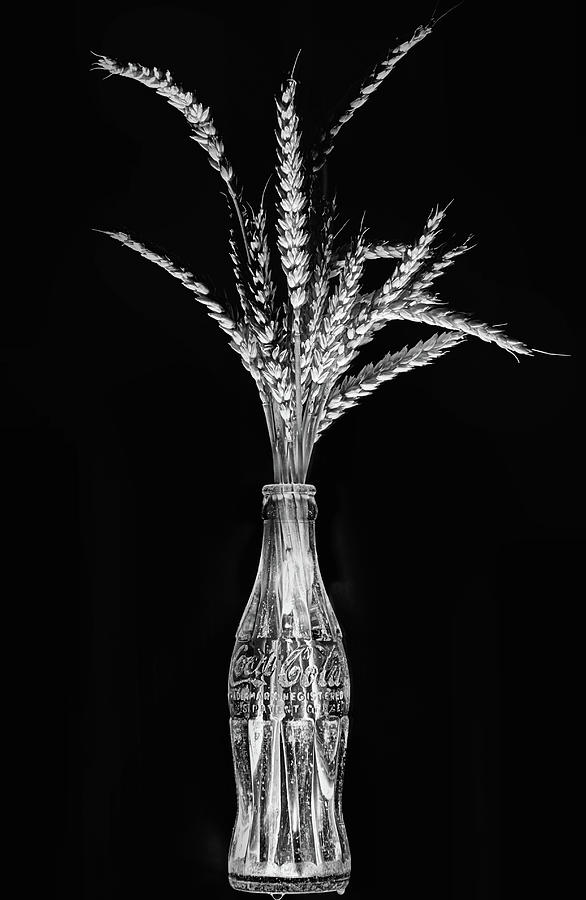 Coke and Wheat Still Life Black and White Photograph by JC Findley