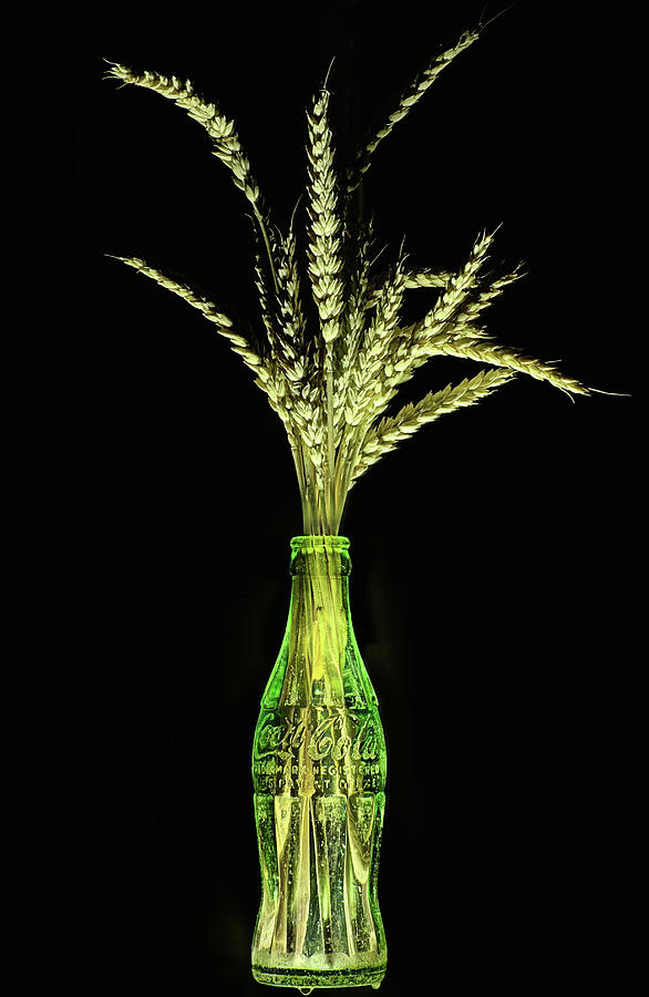 Coke and Wheat Still Life Photograph by JC Findley