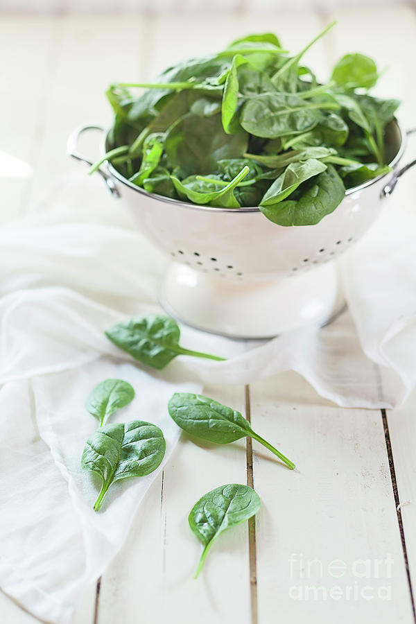 Spinach Photograph - Colander Of Fresh Spinach Leaves by Westend61