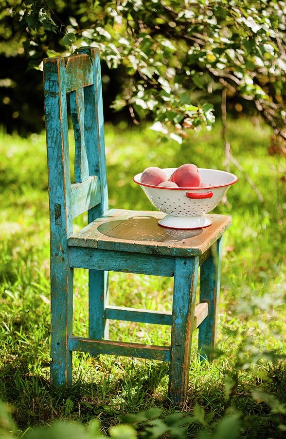 Colander Of Peaches On An Old Wooden Chair; Outside Photograph by Colin Cooke