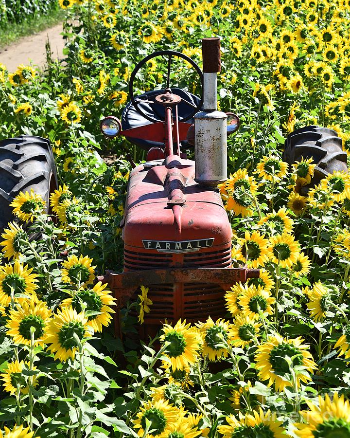 Colby Farm Tractor Photograph by Steve Brown