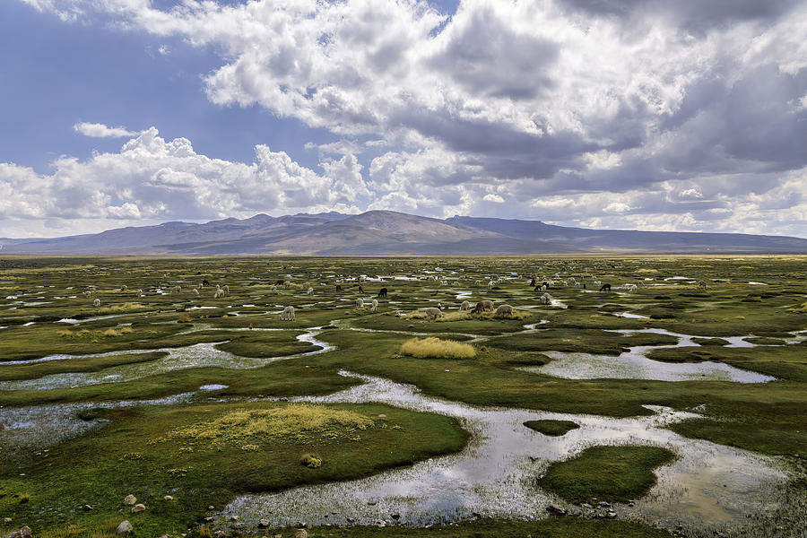 Colca Valley Photograph by Benny Goss - Fine Art America