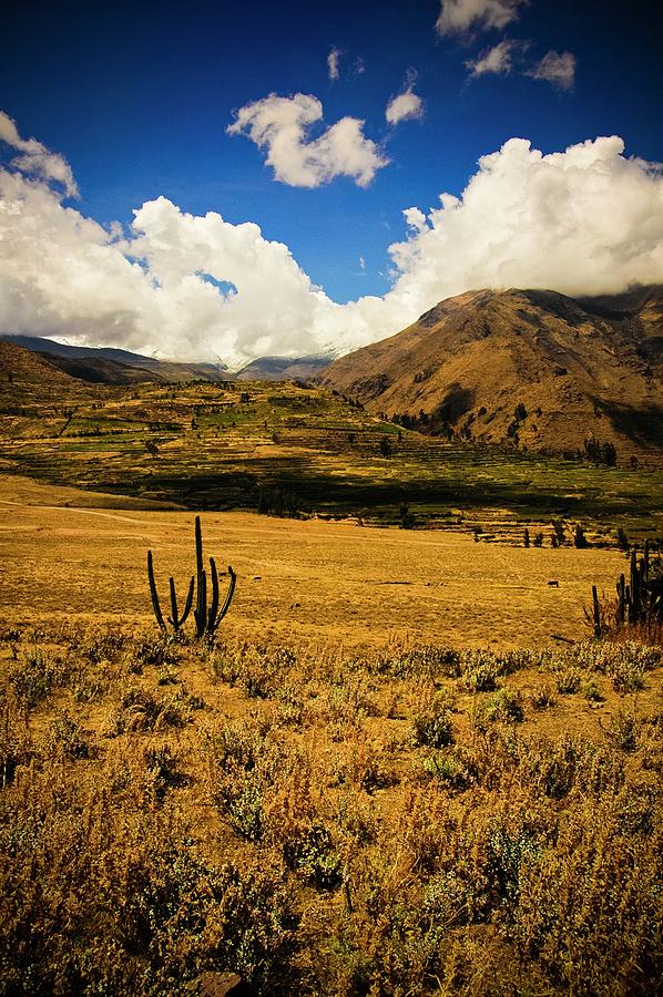 Colca Valley With Cactus Photograph by Debra M Josephson