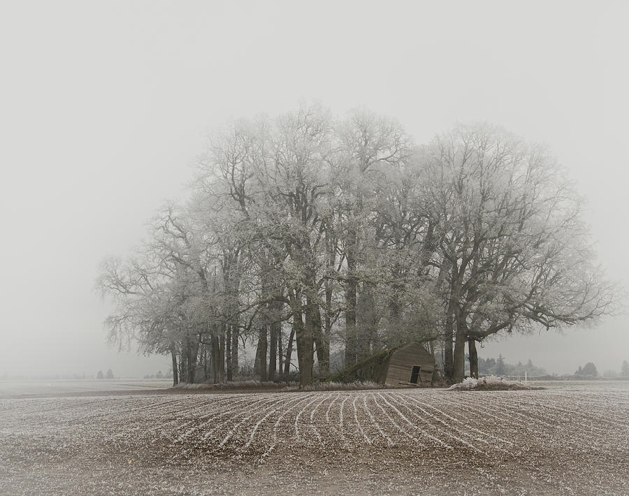 Cold and Abandoned Photograph by Jean Noren