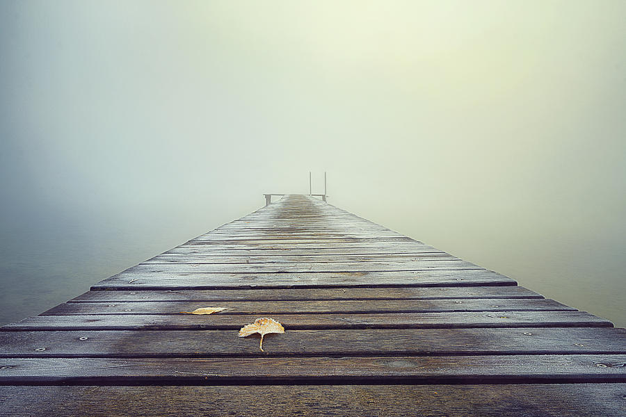 Cold And Misty Morning Photograph by Ulrike Eisenmann