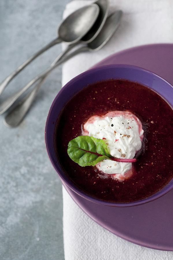 Cold Beetroot Soup With Horseradish Whipped Cream Photograph by Paquin