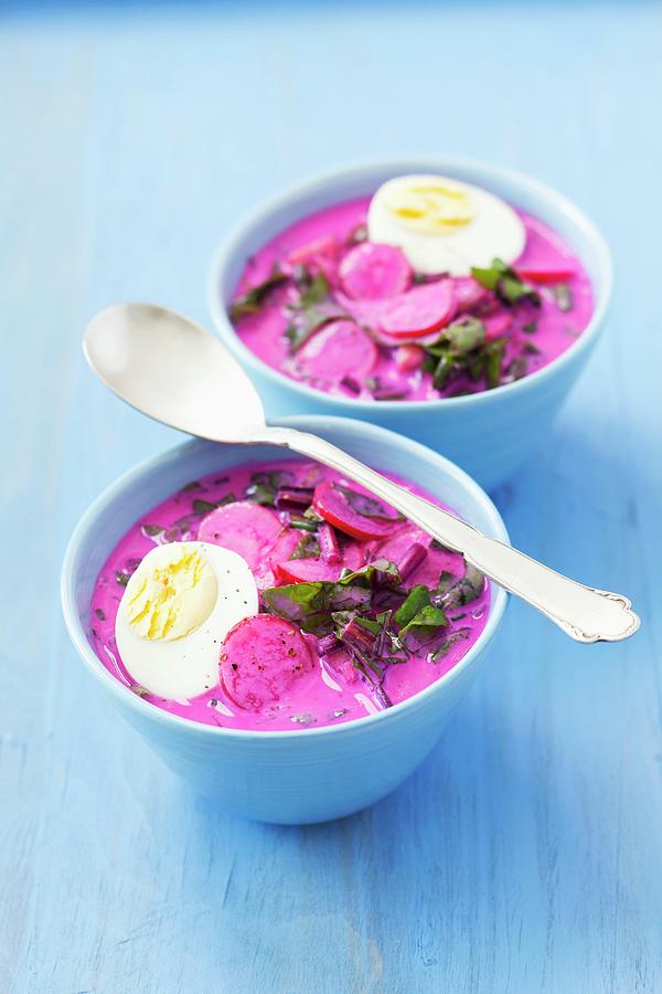 Cold Beetroot Soup With Radishes, Cucumber, Dill, Keffir And Egg Photograph by Rua Castilho