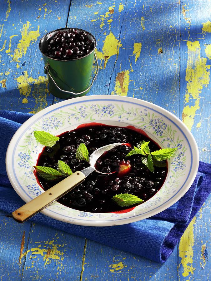 Cold Blueberry Soup Photograph by Karl Newedel