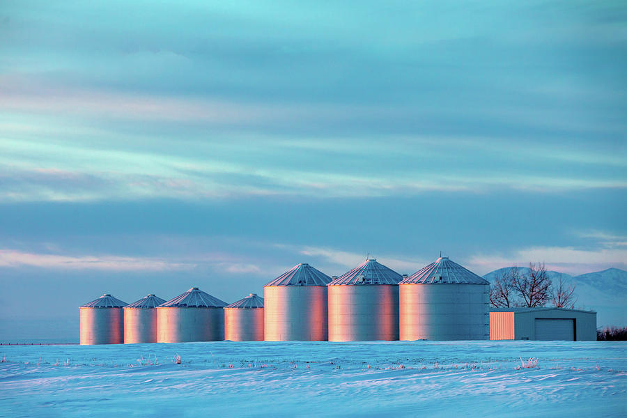 Cold Colorful Bins Photograph by Todd Klassy