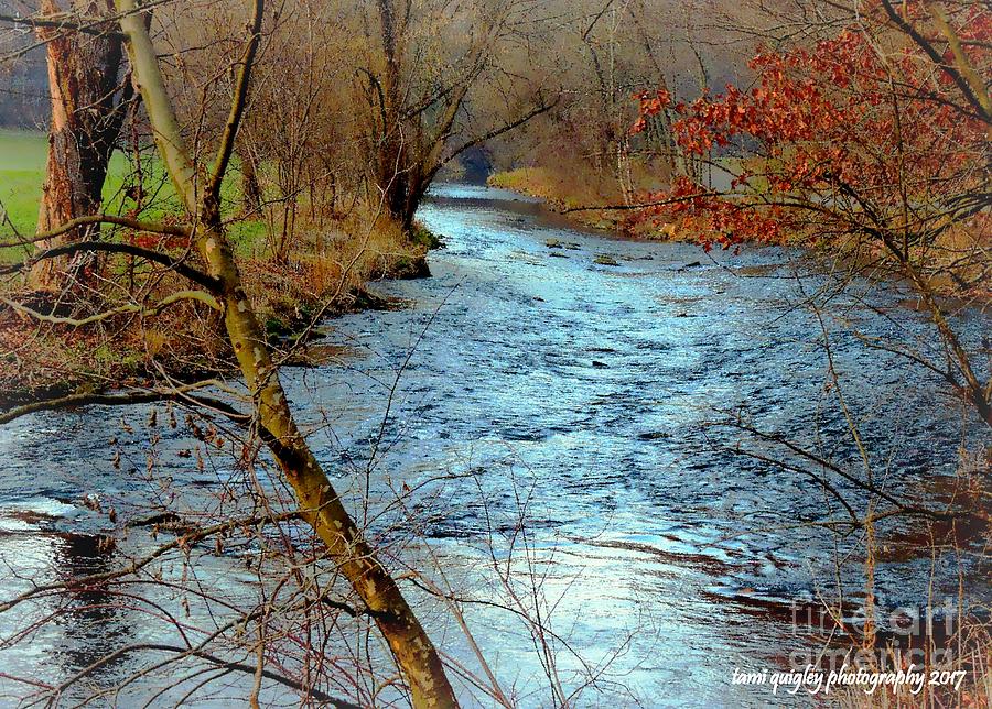 Cold Creek December Photograph by Tami Quigley