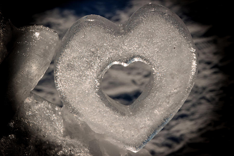 Cold Heart Photograph by Laura Smith