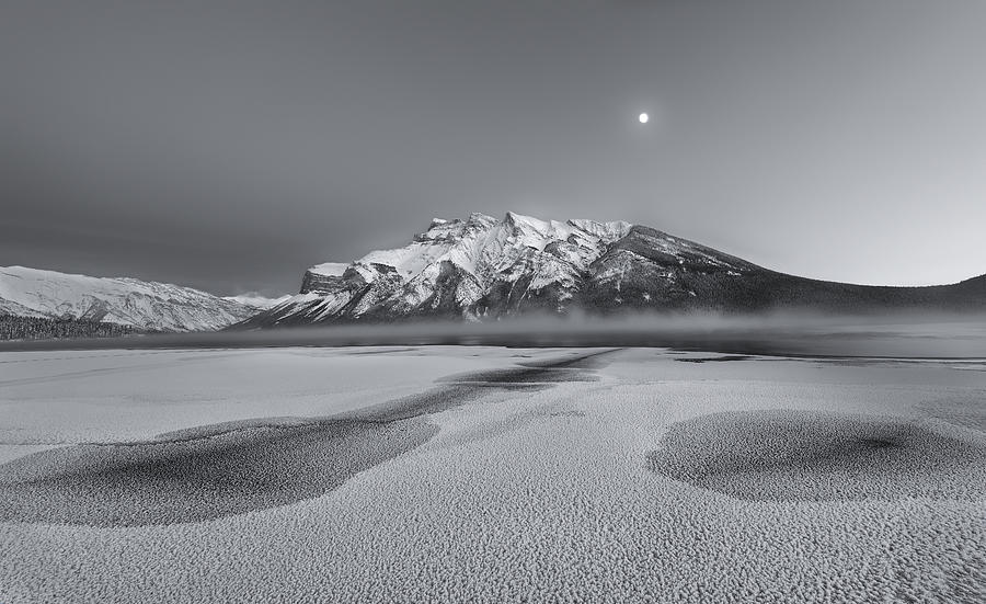 Cold Moon Photograph by Yun Wang