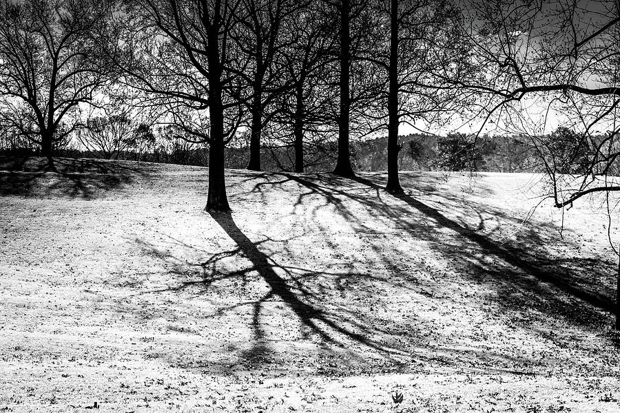 Cold Morning Shadows Photograph by Doug Camara