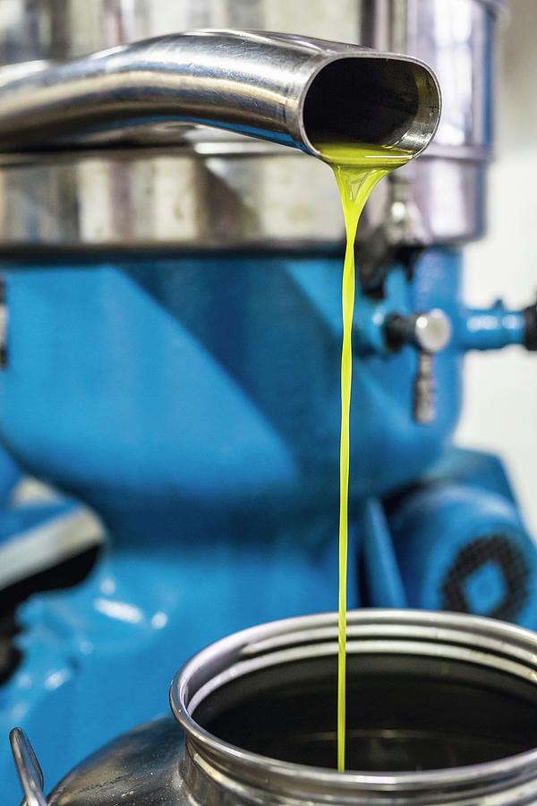Cold-pressed Olive Oil Flowing Out Of A Stone Mill Photograph by Jalag / Andrea Di Lorenzo
