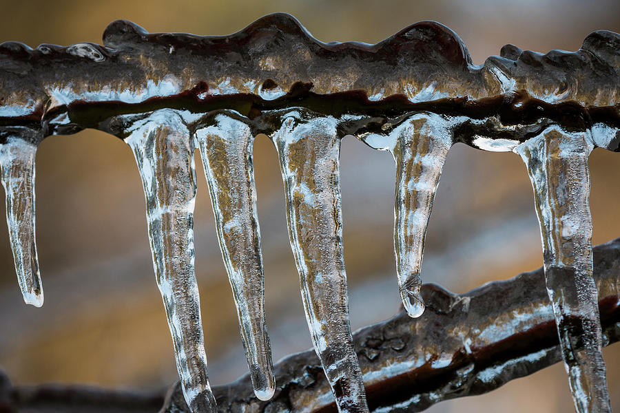 Cold Snap Icicles Photograph by Robert Potts