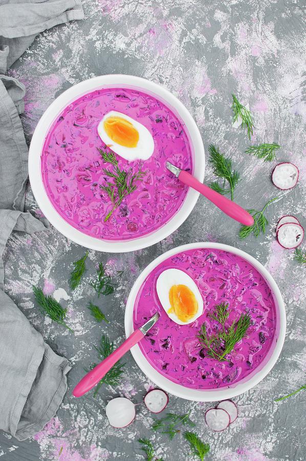 Cold Soup Made With Kefir, Yoghurt, Sour Cream And Beet Root, Served With Boiled Egg Photograph by Kachel Katarzyna