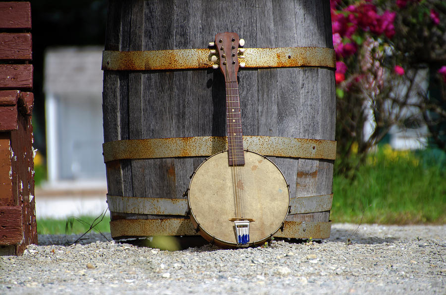 Cold Spring - Banjo Mandolin Photograph by Bill Cannon