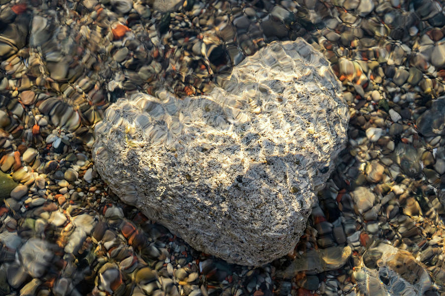Cold Stone Heart - Serendipitous Discovery at the Bottom of Lake Ontario Photograph by Georgia Mizuleva