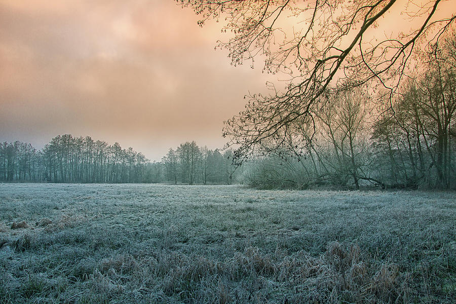 Cold Winter Day Photograph by Bettina Lichtenberg