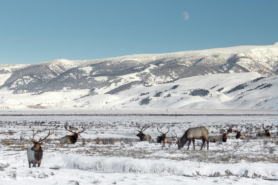 Cold winter morning Photograph by Ronnie And Frances Howard