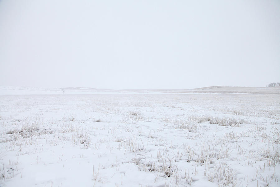 Cold Winter Scene Of An Open Wheat Field Photograph by Lori Andrews