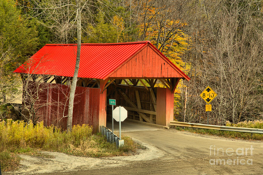 Cole Hill Covered Bridge Road Photograph by Adam Jewell