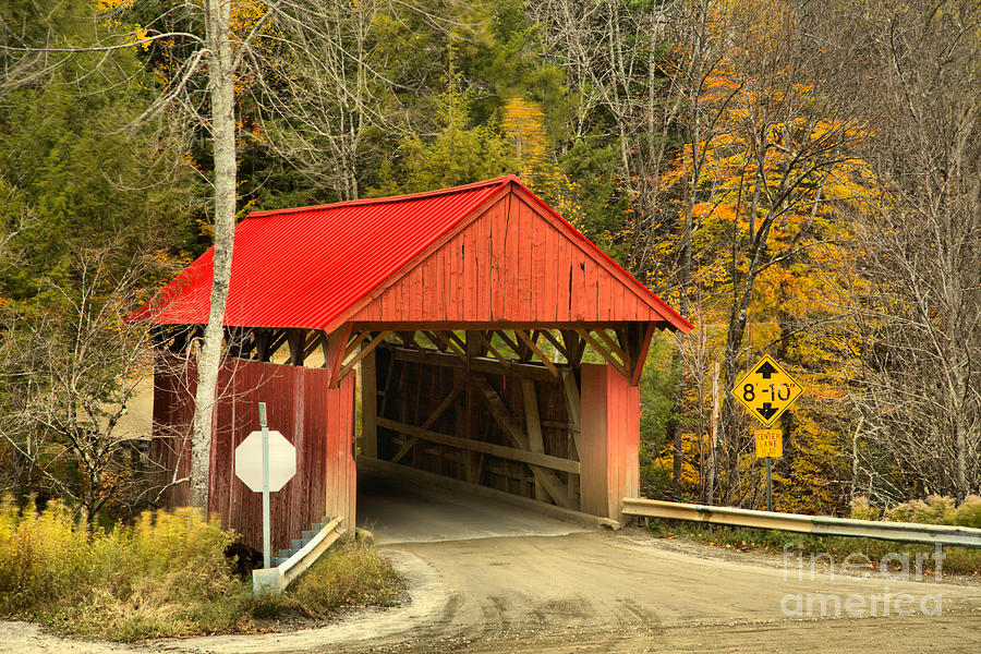 Cole Hill Road Covered Bridge Photograph by Adam Jewell