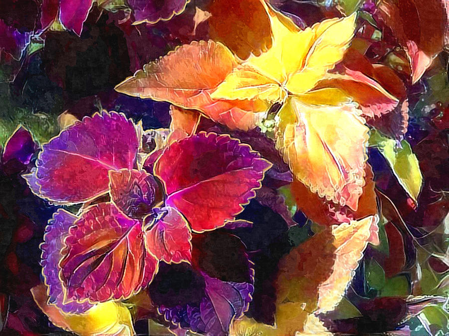 Coleus Plant Digital Painting Photograph by Sandi OReilly