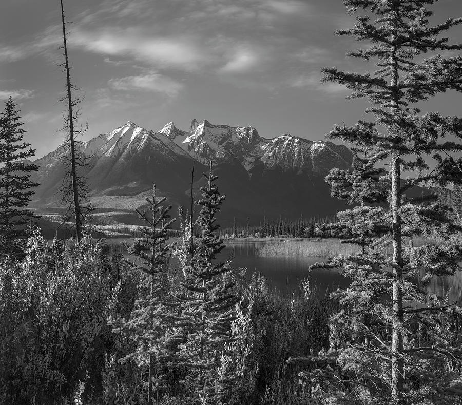 Colin Range Jasper National Park Photograph by Tim Fitzharris