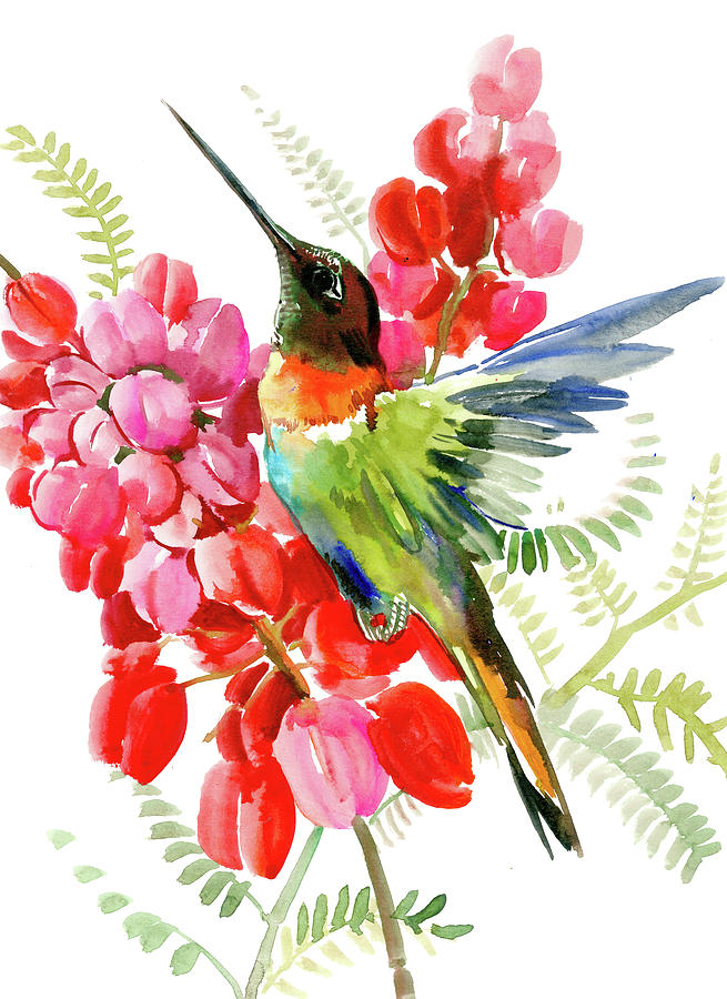 Hummingbird Painting - Collared Inca Hummingbrid and Pink Red Flowers by Suren Nersisyan
