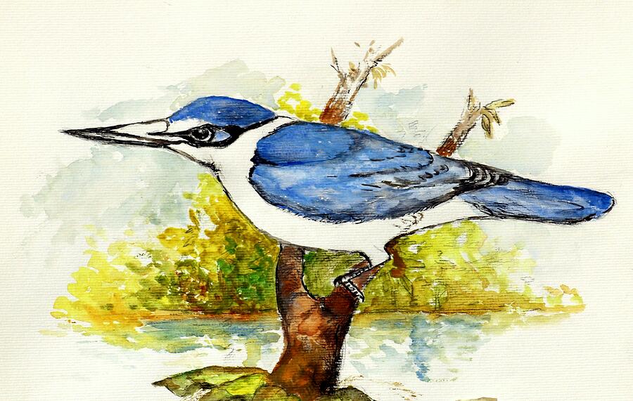 Collared Kingfisher Painting by Jason Sentuf