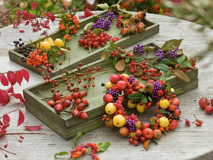 Collected Autumn Fruits And Berries In Wooden Boxes And Wrapped Into Heart Shape Photograph by Friedrich Strauss