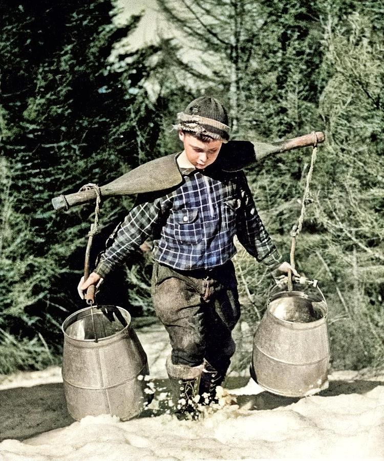 Collecting Maple Sap, Wilmington, Vermont Colorized By Ahmet Asar Painting