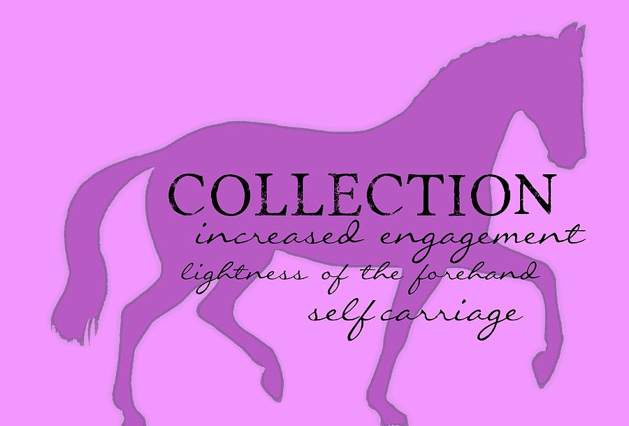 Collection Photograph by Dressage Design
