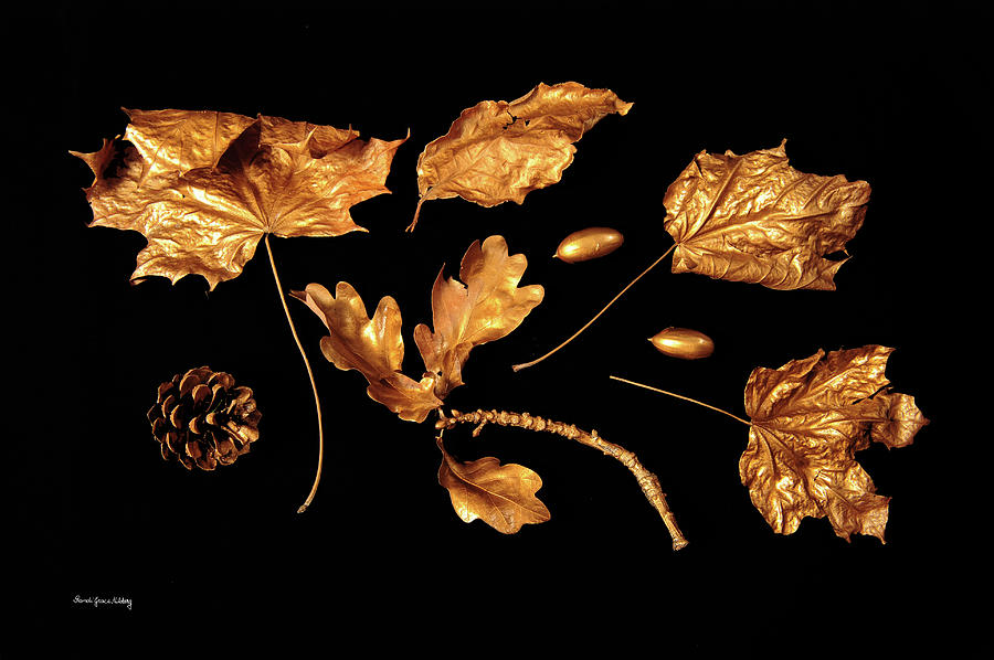 Collection Of Gold Photograph