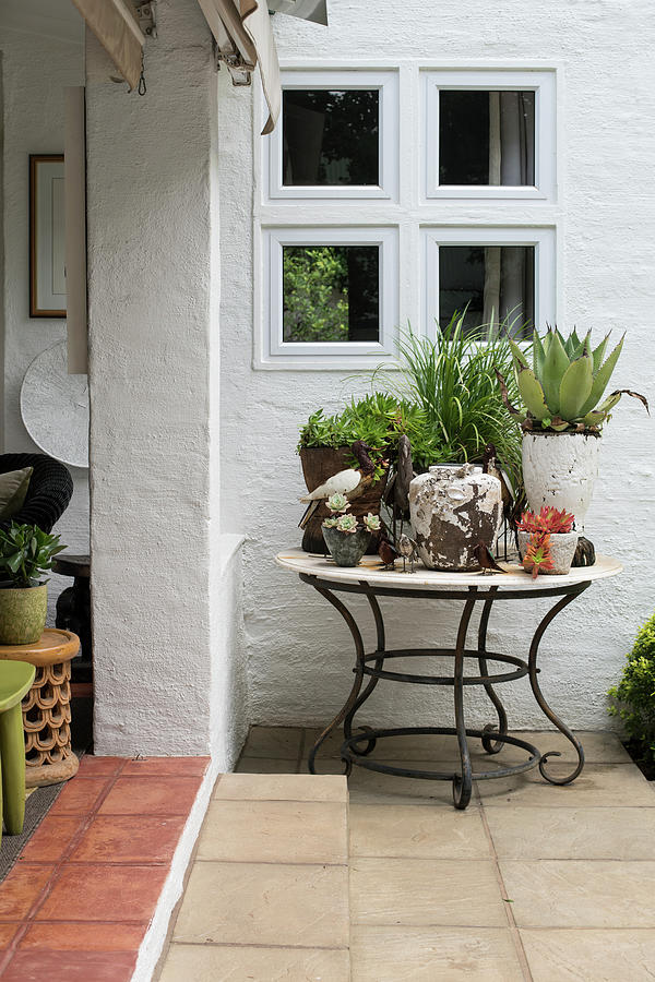 Collection Of Succulents On Round Table In Protected Corner Next To Veranda Photograph by Great Stock!