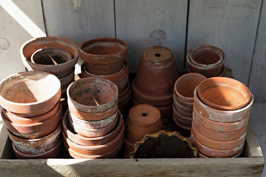 Collection Of Terracotta Plant Pots In Vintage Wooden Crate Photograph by Cecilia Mller