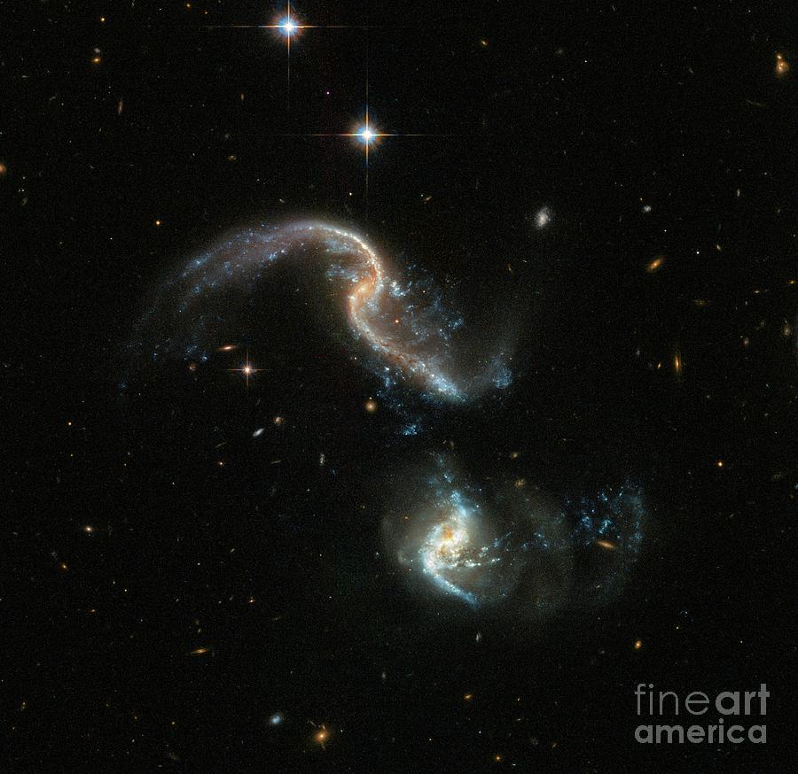 Space Photograph - Colliding Galaxies Arp 256 by Nasa/esa/hubble/stsci/science Photo Library