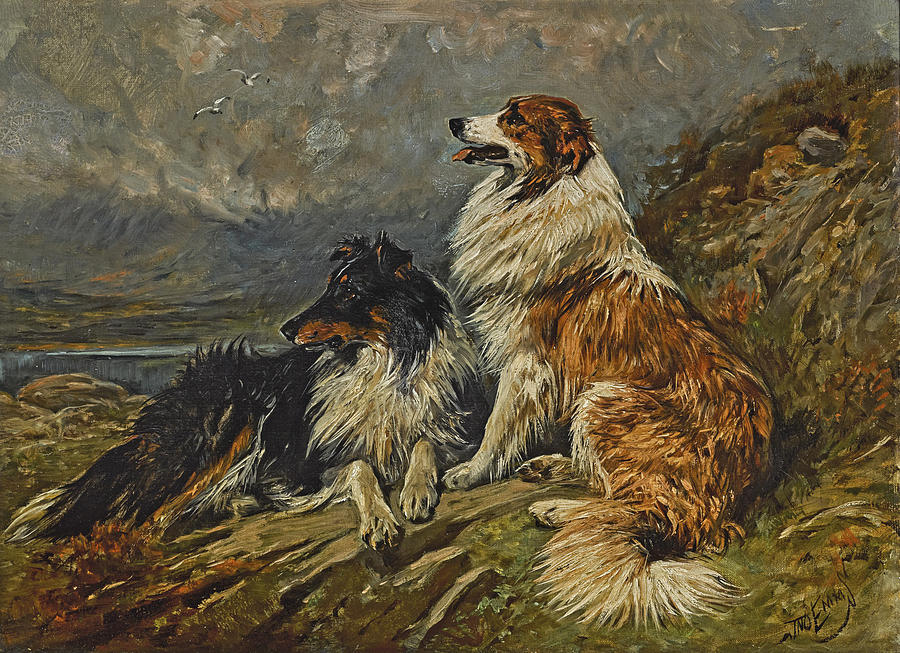 Collies on the Moor Painting by John Emms