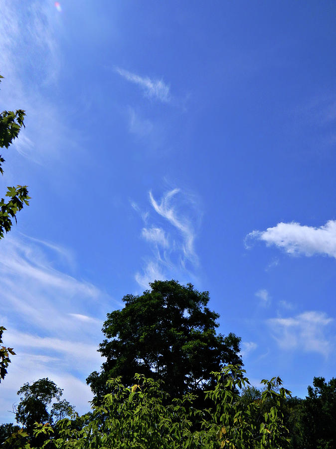 Collingwood Clouds 3 Photograph by Cyryn Fyrcyd