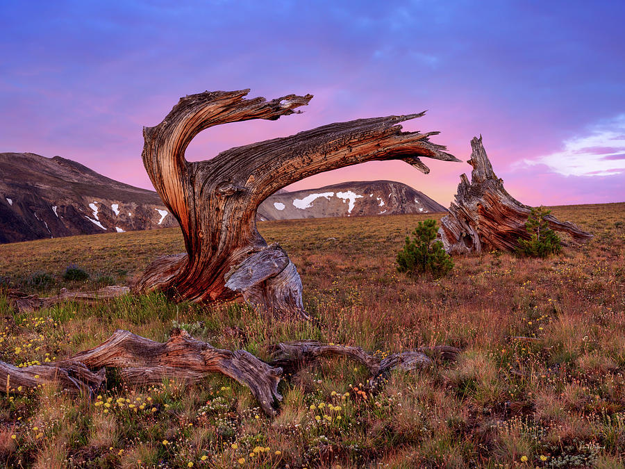 Altitude Photograph - Coloful High Mountain Splendor by Leland D Howard Altitude Photograph - Coloful High Mountain Splendor by Leland D Howard