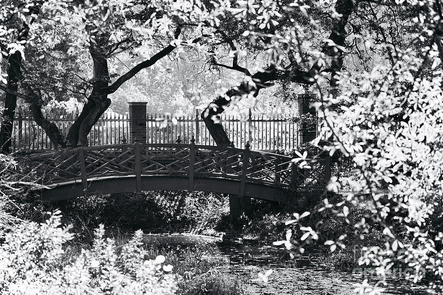 Colonial Garden Bridge  Photograph by Rachel Morrison