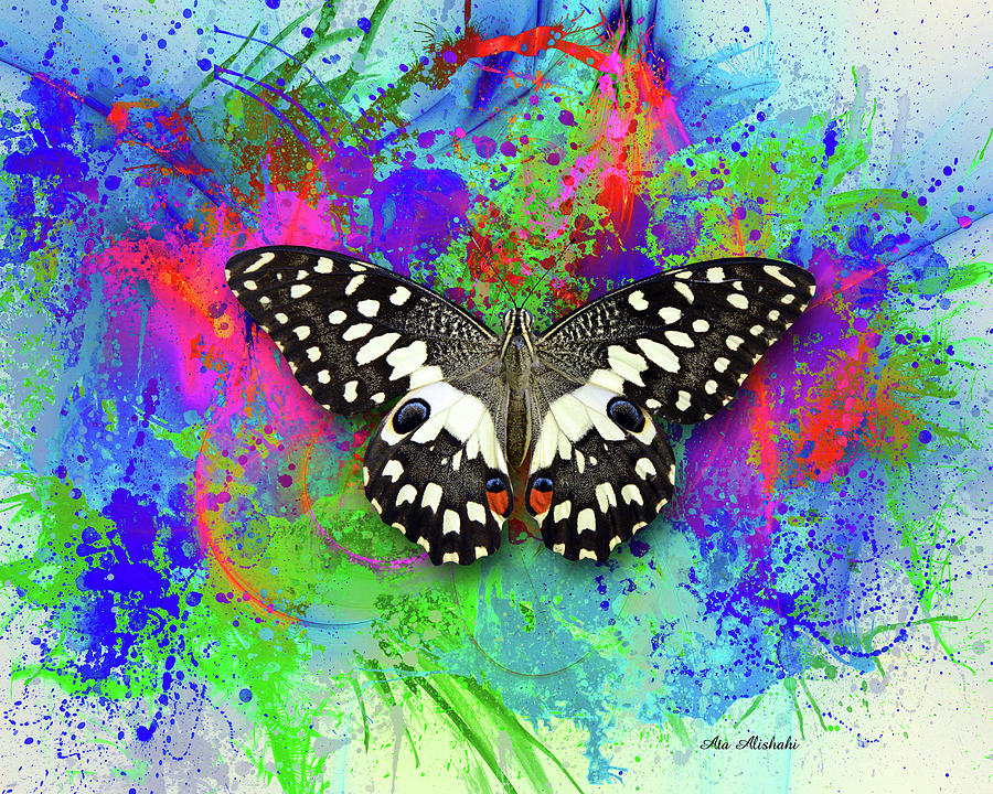 Insects Mixed Media - Color And Butterfly 2 by Ata Alishahi