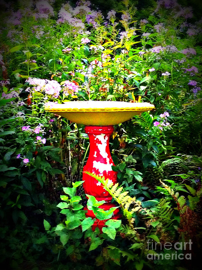 Color Birdbath with Flowers Photograph by Frank J Casella