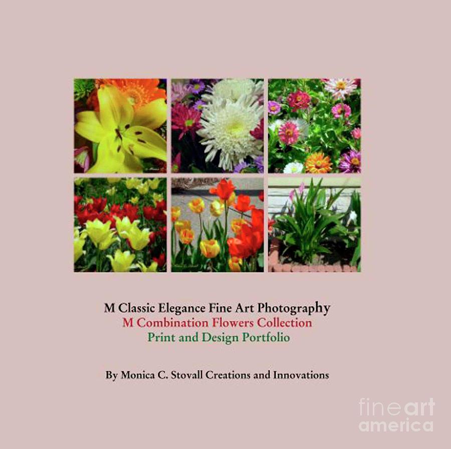 Color Combination Flowers Portfolio by Monica C Stovall Color Combination Flowers Portfolio by Monica C Stovall
