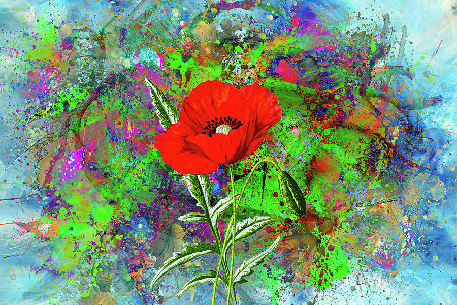 Poppy Mixed Media - Color Explosion 13 by Ata Alishahi