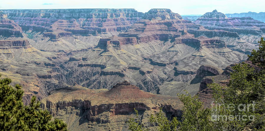 Grand Canyon National Park Photograph - Color Grand Canyon Panorama  by Chuck Kuhn