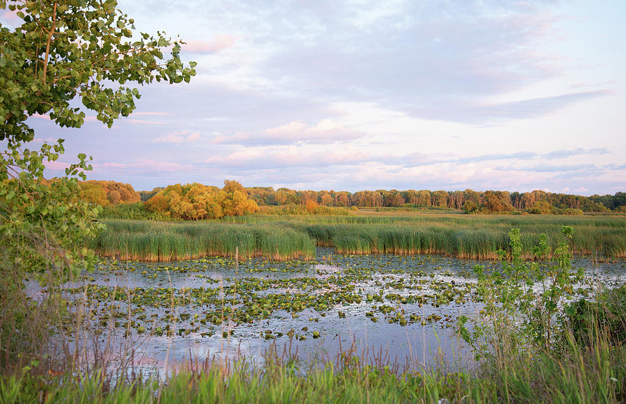 Color in September Photograph by Linda Kerkau | Fine Art America